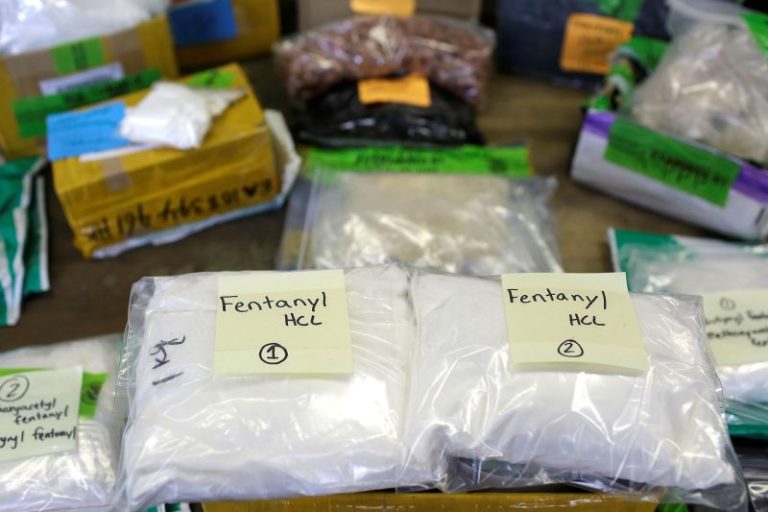India among top suppliers of illicit fentanyl precursors, US intelligence report says